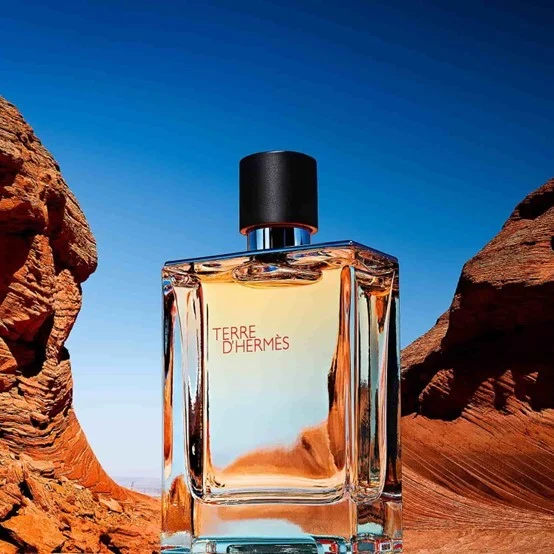 <strong>عطر تير دي هيرميس Terre d’Hermes</strong>