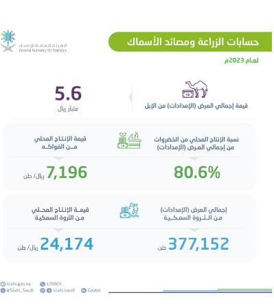 تفرير الهيئة العامة للإحصاء