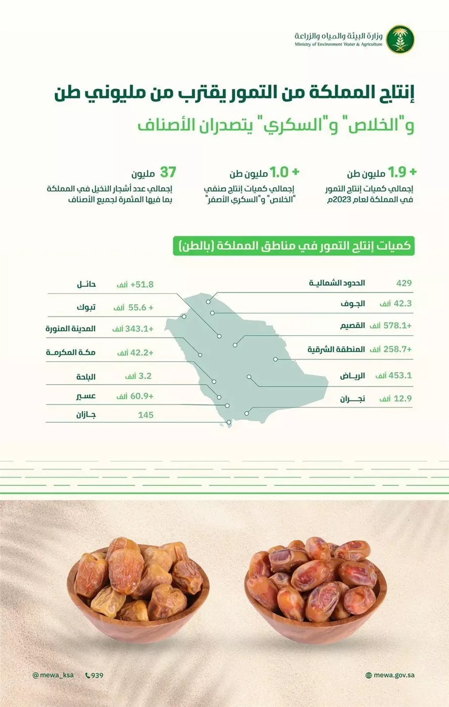 إنتاج التمور في المملكة يتجاوز 1.9 مليون طن