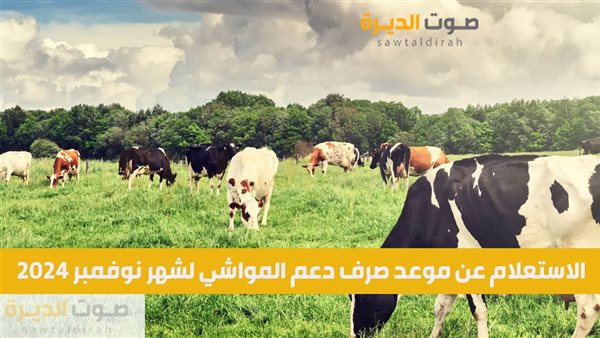 الاستعلام عن موعد صرف دعم المواشي لشهر نوفمبر 2024