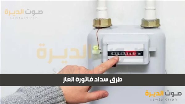 تسجيل قراءة الغاز لشهر نوفمبر 2024 من بتروتريد أون لاين