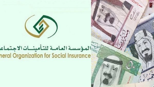 التأمينات الاجتماعية تكشف شروط عمل موظفي الحكومة بوظيفة إضاف