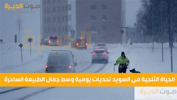 الحياة الثلجية في السويد تحديات يومية وسط جمال الطبيعة الساح